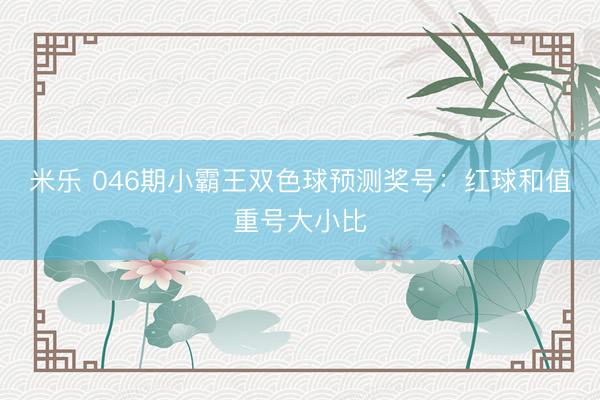米乐 046期小霸王双色球预测奖号：红球和值重号大小比
